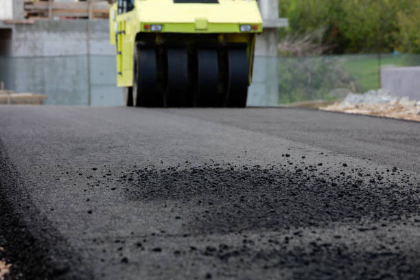 Best Brick Driveway Pavers  in Carrizo Springs, TX