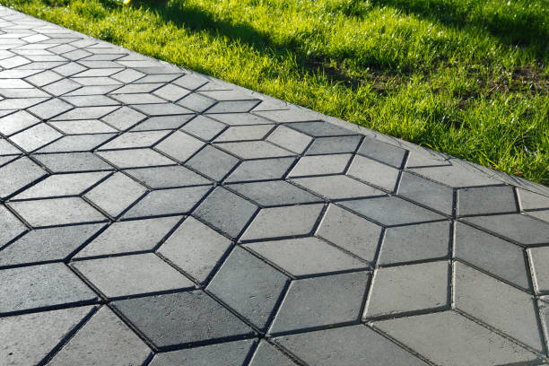 Best Interlocking Driveway Pavers  in Carrizo Springs, TX