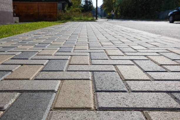 Best Commercial Driveway Pavers  in Carrizo Springs, TX