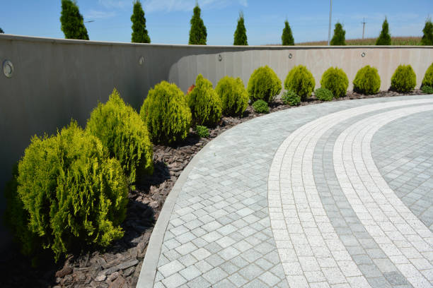 Best Residential Paver Driveway  in Carrizo Springs, TX