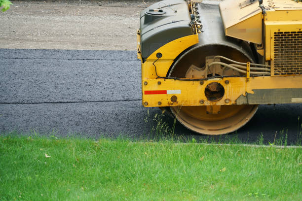 Best Concrete Paver Driveway  in Carrizo Springs, TX
