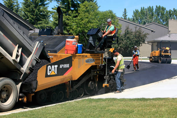 Best Residential Paver Driveway  in Carrizo Springs, TX